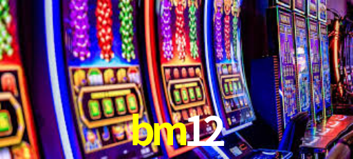 Premium Interface bm12